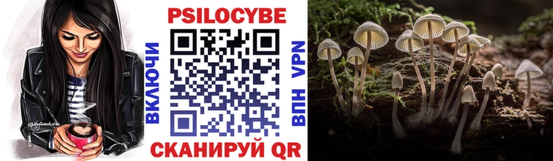 Псилоцибиновые грибы Psilocybine cubensis  Велиж 